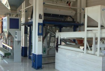 کاهش ضایعات ۱۰ هزار تن برنج در پی نوسازی ۲۵۰ کارخانه شالیکوبی در گیلان