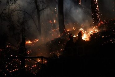 آتش سوزی ۶ هکتاری در عرصه های جنگلی گیلان/ حریق سطحی بود
