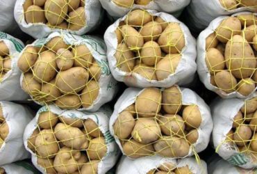 واردات یکصد هزارتن سیب زمینی و توزیع ۲۰۰ هزار تن برنج خارجی