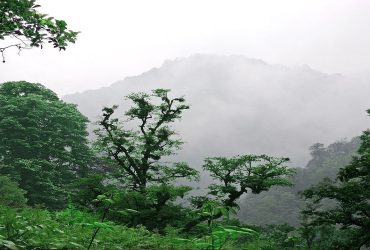 رفع تصرف یک هکتاری مناطق حفاظت شده در سفیدمزگی شهرستان شفت