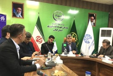 حدود یک هزار هکتار از شالیزارهای گیلان مشمول اخطار «نه کاشت» شدند